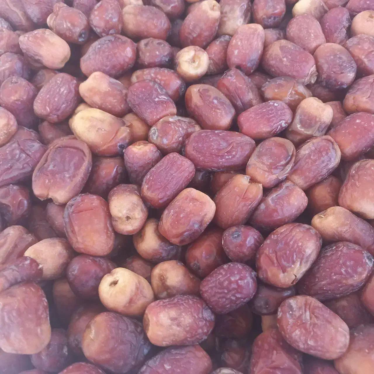 خرما|عمده‌فروشی|قیدار, |دیوار