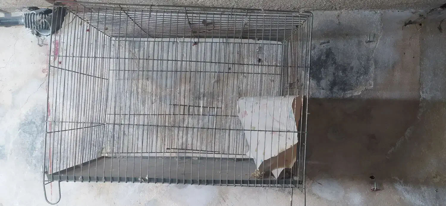 قفس|لوازم جانبی حیوانات|مشهد, آیت الله کاشانی|دیوار