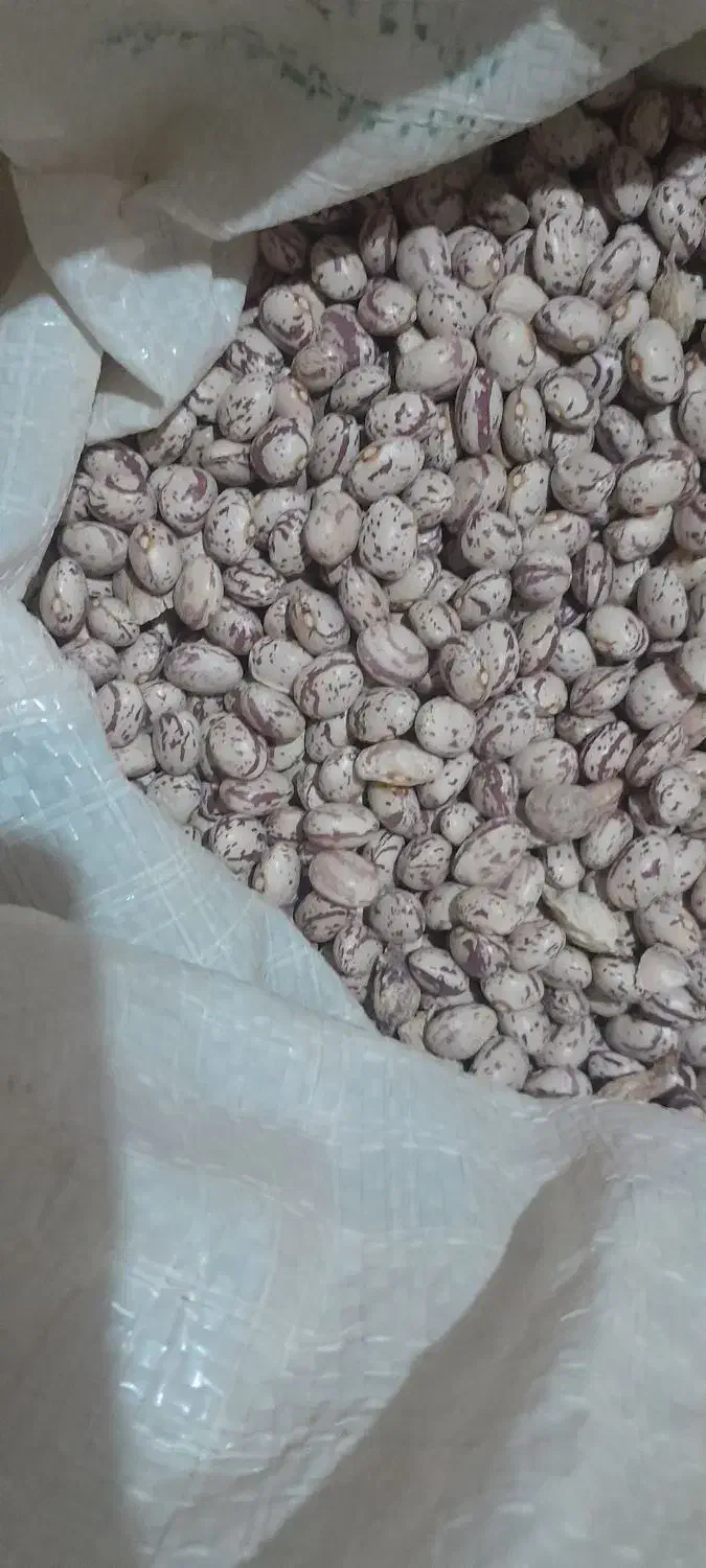 لوبیا چیتی|خوردنی و آشامیدنی|صائین قلعه, |دیوار