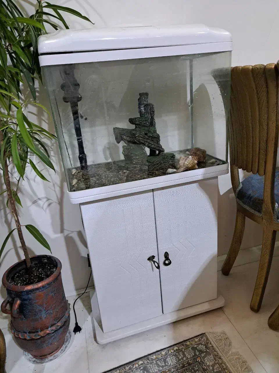 آکواریوم|ماهی|فردیس, شهرک راه آهن|دیوار