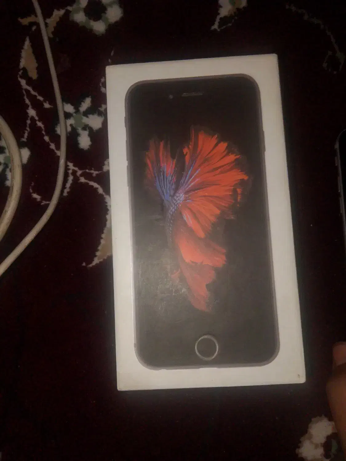 گوشی آیفون 6s نو هست|موبایل|صدرا-فارس, فاز ۲|دیوار