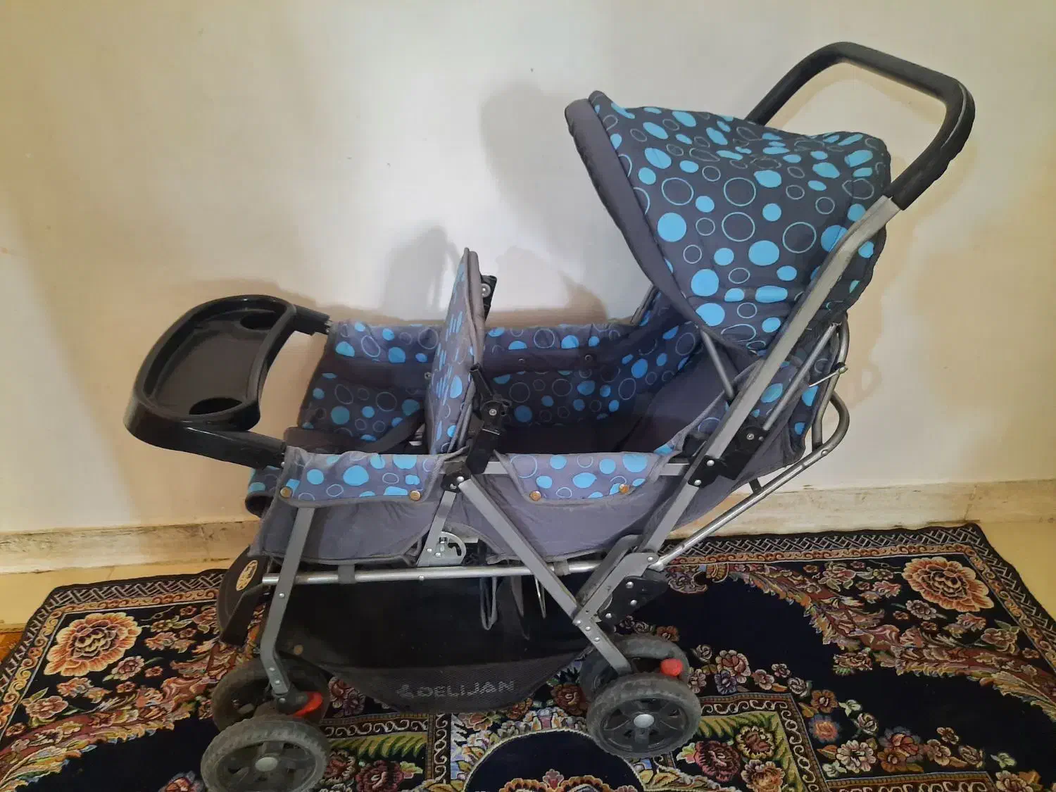 کالسکه دوقلو دلیجان|کالسکه و لوازم جانبی|صدرا-فارس, فاز ۱|دیوار