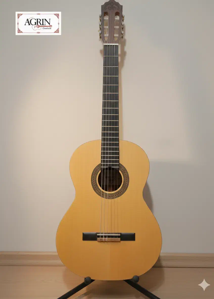 گیتار برند AGRIN|گیتار، بیس، امپلیفایر|شهرکرد, |دیوار