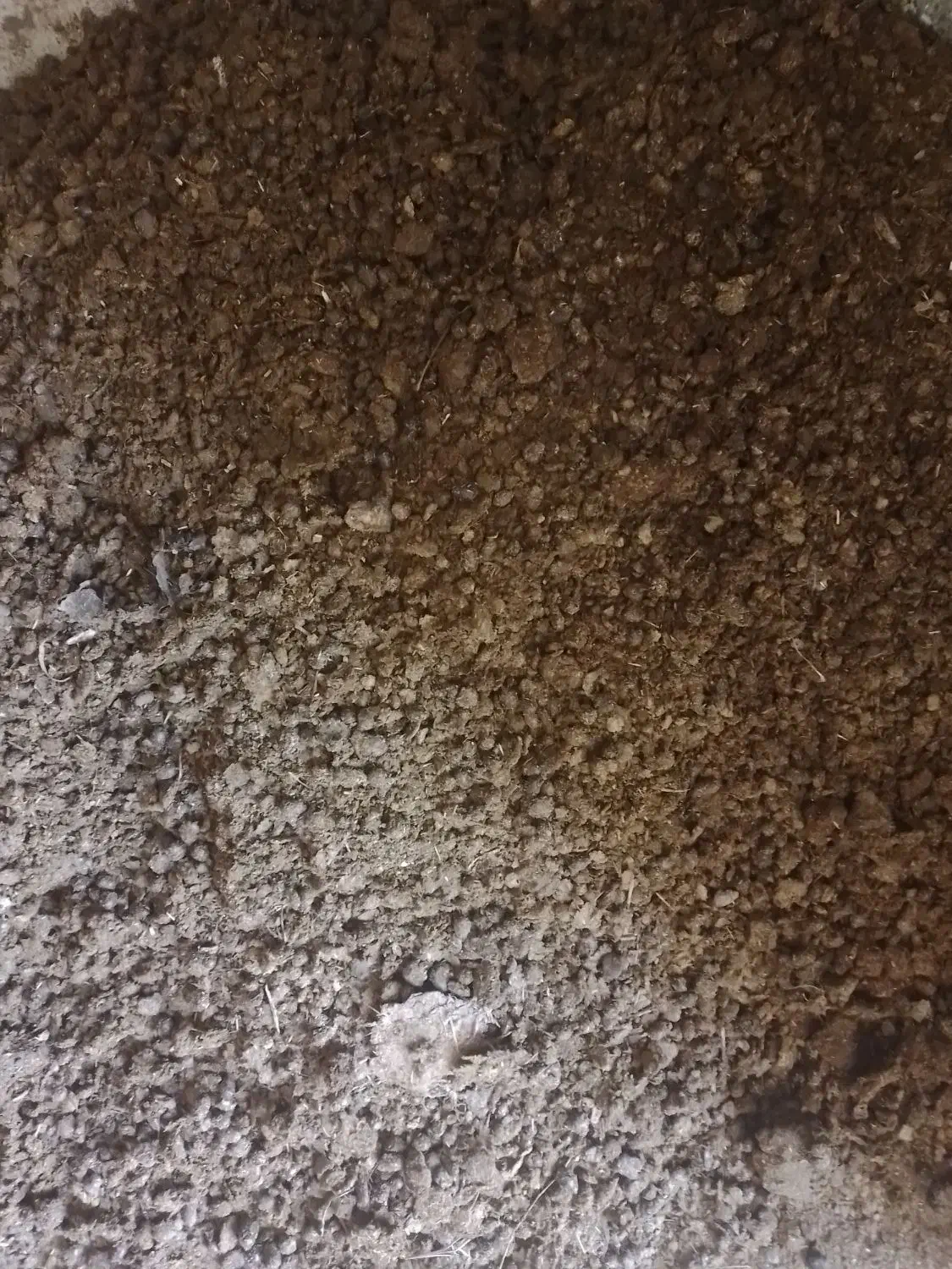 کود گوسفندی|خدمات باغبانی و درختکاری|نکا, |دیوار