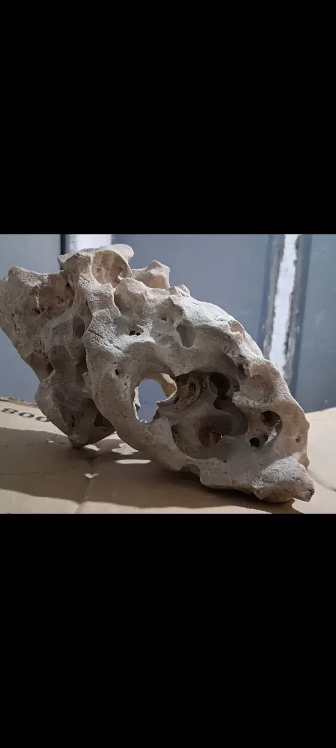 تزیینات آکواریم|ماهی|پاکدشت, پاکدشت (مامازند)|دیوار