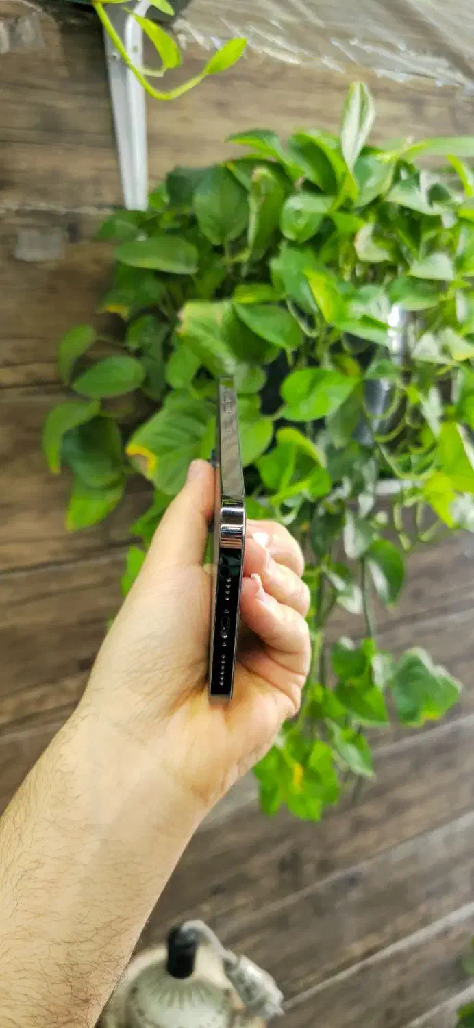 iphone 13 promax|موبایل|اهواز, کمپلو جنوبی|دیوار