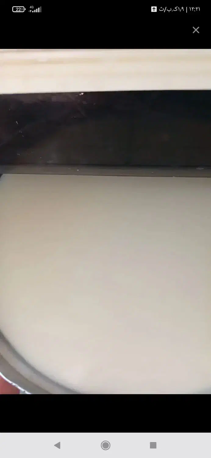 شیر بز تازه  و پر خاصیت هرروز صبح دارم|خوردنی و آشامیدنی|نهاوند, |دیوار