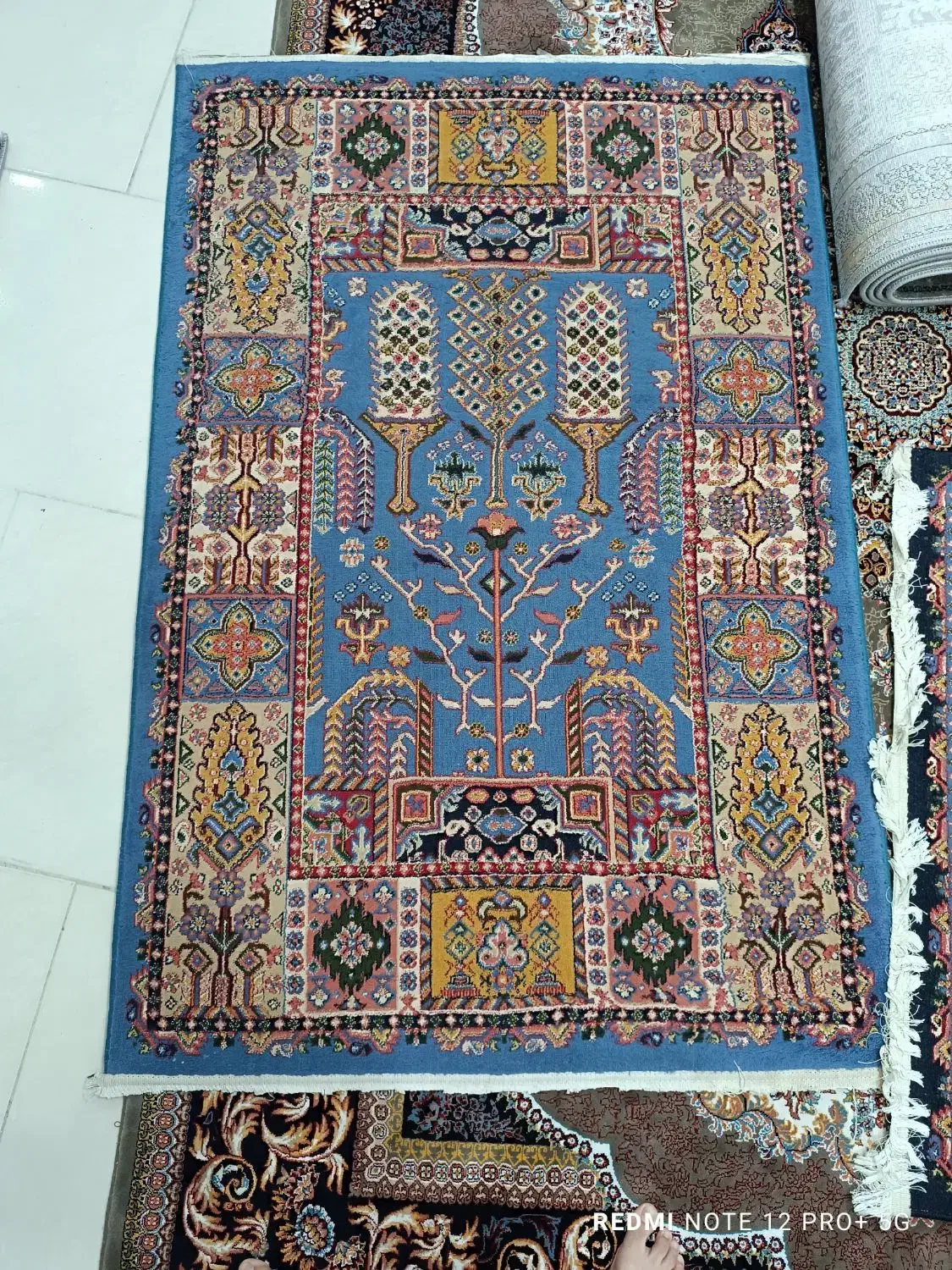 دو عدد فرش ۶ متری|فرش|رشت, حمیدیان|دیوار