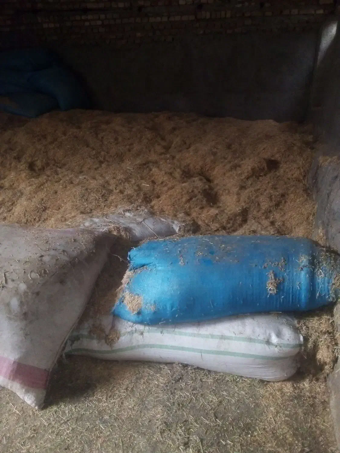 کاه گندم دیمی ریز|لوازم جانبی حیوانات|تاکستان, |دیوار