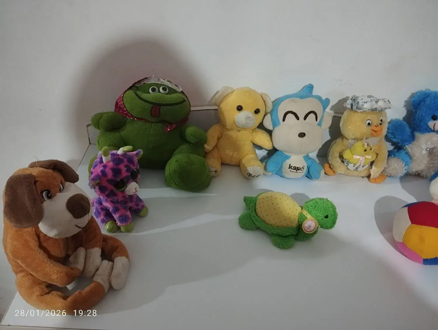 عروسک|اسباببازی بچه|بروجرد, |دیوار