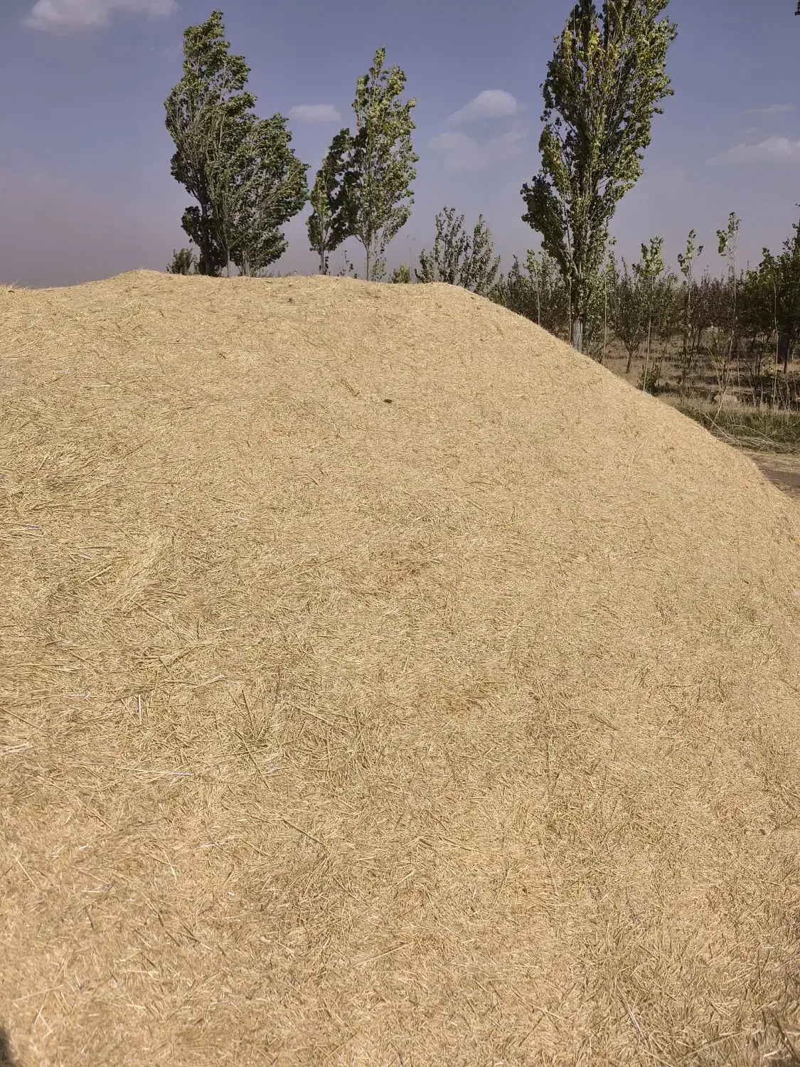 فروش کاه|عمده‌فروشی|دیواندره, |دیوار