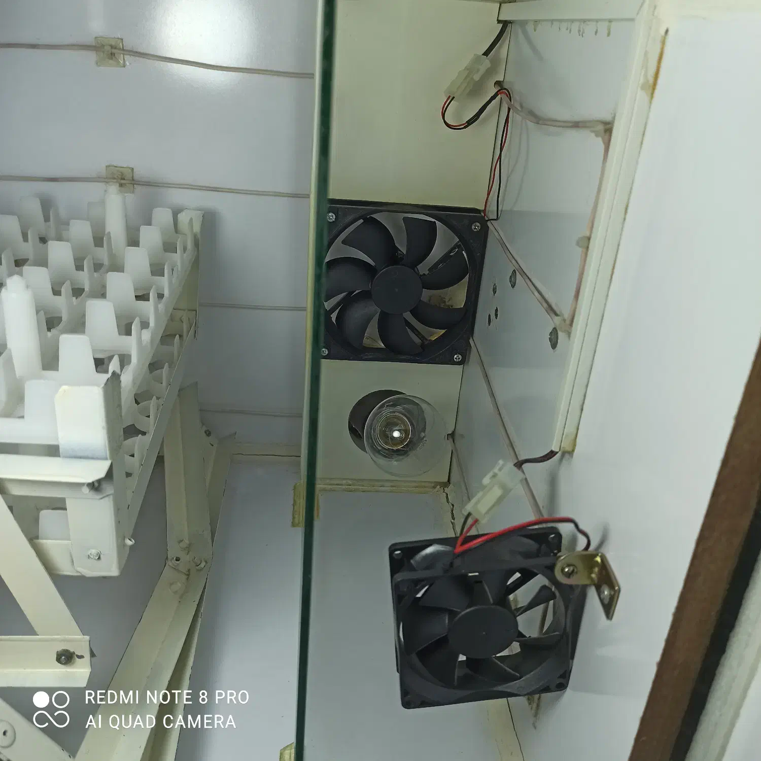 دستگاه جوجه کشی 72تایی تمام اتومات|لوازم جانبی حیوانات|شیراز, کوشک میدان|دیوار