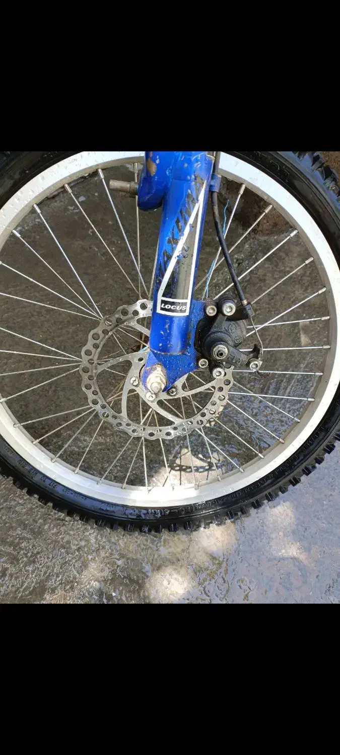 دوچرخه ماکسیما|دوچرخه، اسکیت، اسکوتر|موچش, |دیوار