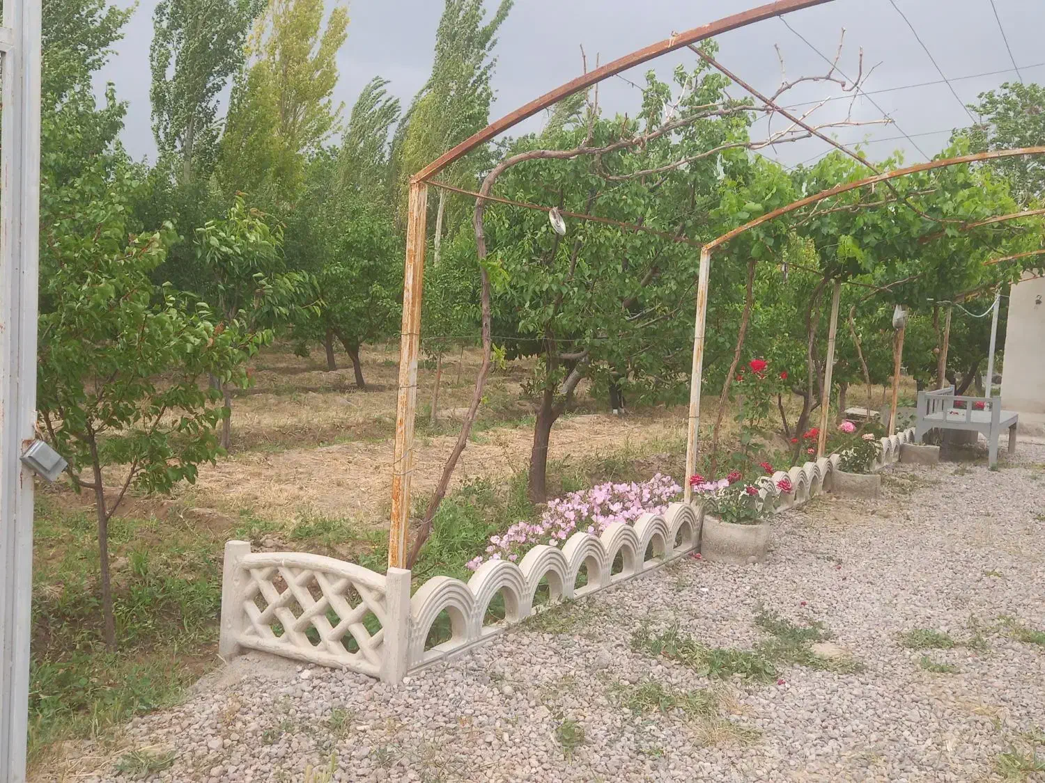 فروش باغ 1500متری در اراضی جواش|فروش دفتر صنعتی، کشاورزی، تجاری|مرند, |دیوار