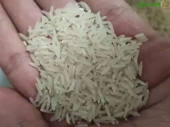 همه رقم برنج موجود کلی جزی|خوردنی و آشامیدنی|آق قلا, |دیوار