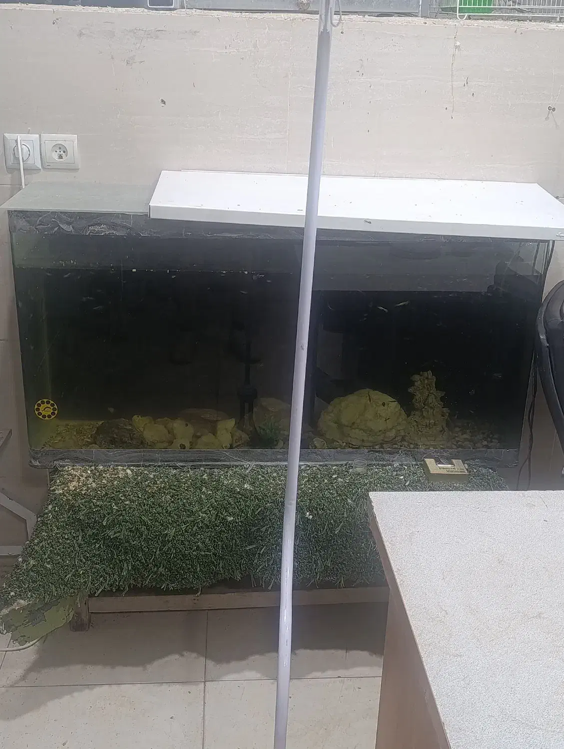 آکواریوم چینی شیشه خم کارخانه|ماهی|مشهد, شهرک بهارستان|دیوار