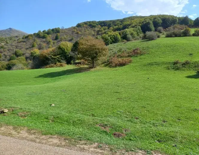 ملک زمین مسکونی بخش عمارلو|فروش زمین و ملک کلنگی|بره‌سر, |دیوار