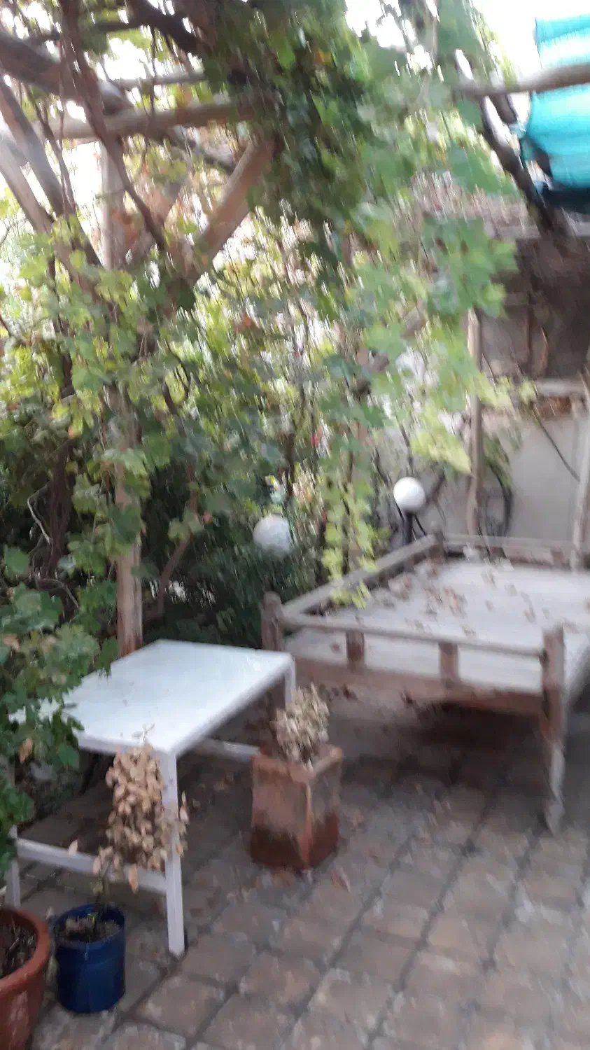 فروش خانه باغ فین بزرگ پشت شاهزاده قاسم|فروش خانه و ویلا|کاشان, حسن آباد|دیوار