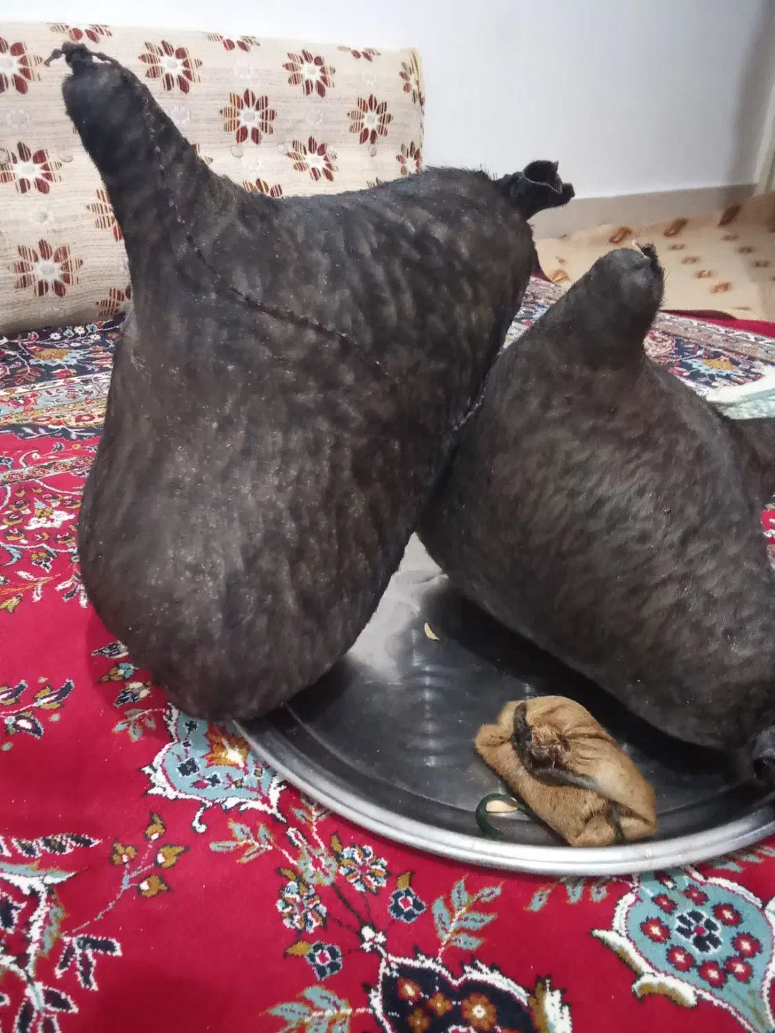 دو عدد هیزه نو|ظروف نگهدارنده، پلاستیکی، یک‌بارمصرف|نورآباد, |دیوار