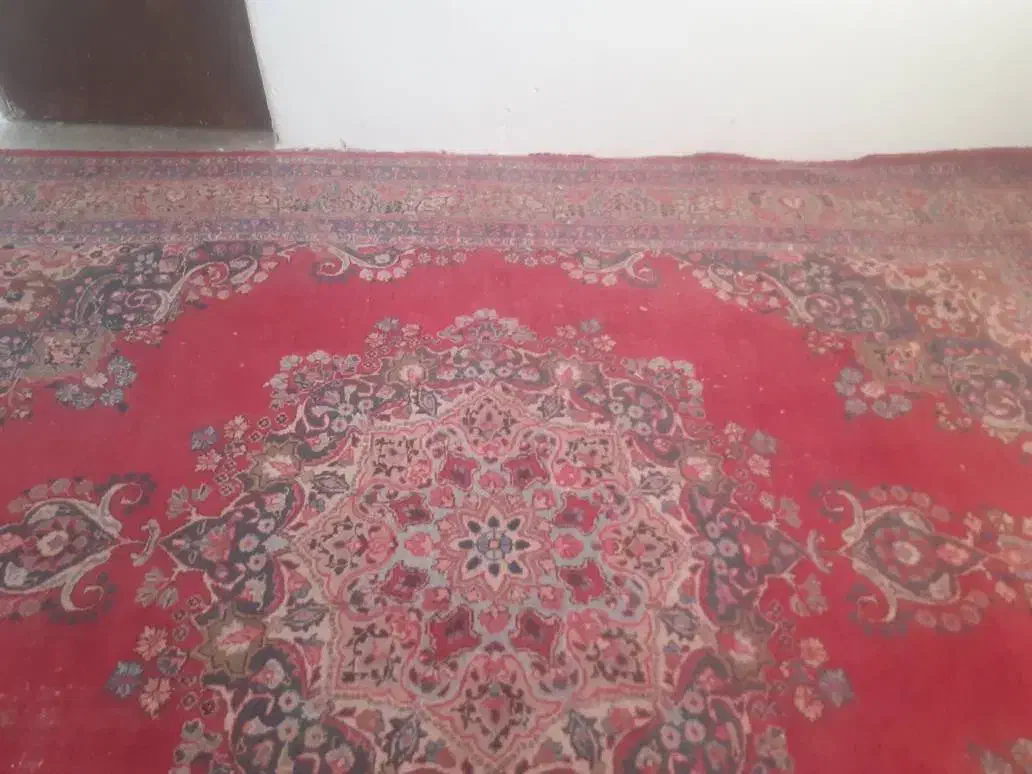 فرش دستباف طبیعی  (فوری)|فرش|اسفراین, |دیوار