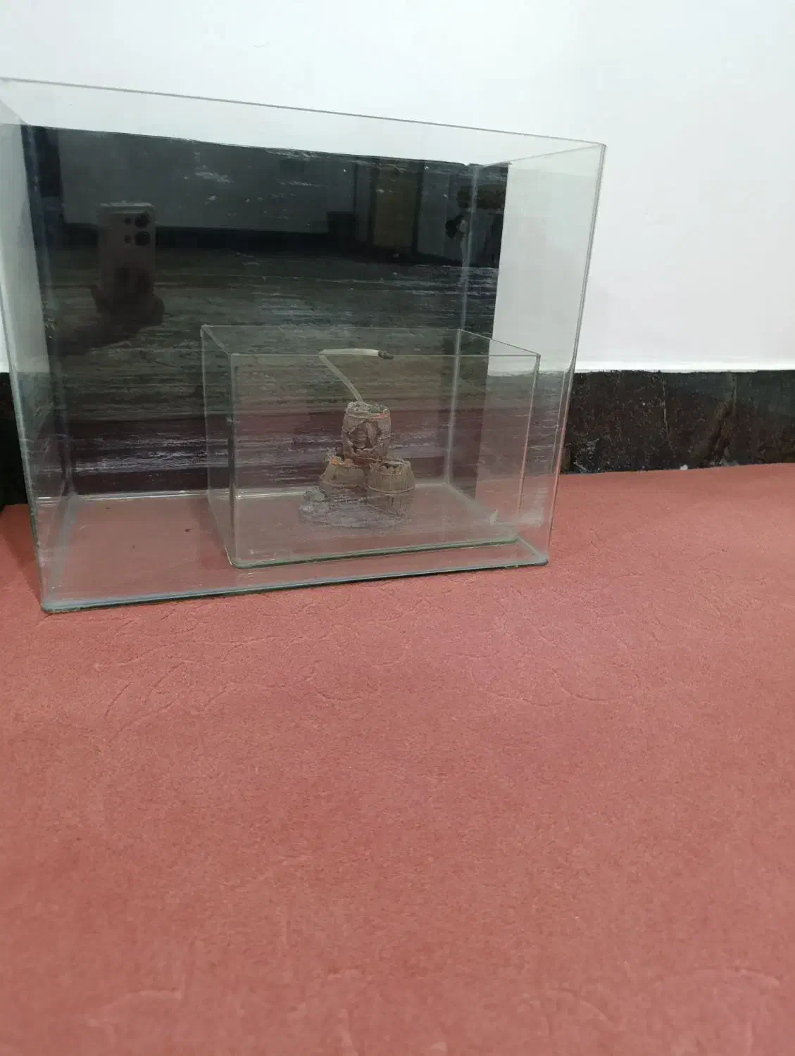 آکواریوم|ماهی|نقده, |دیوار