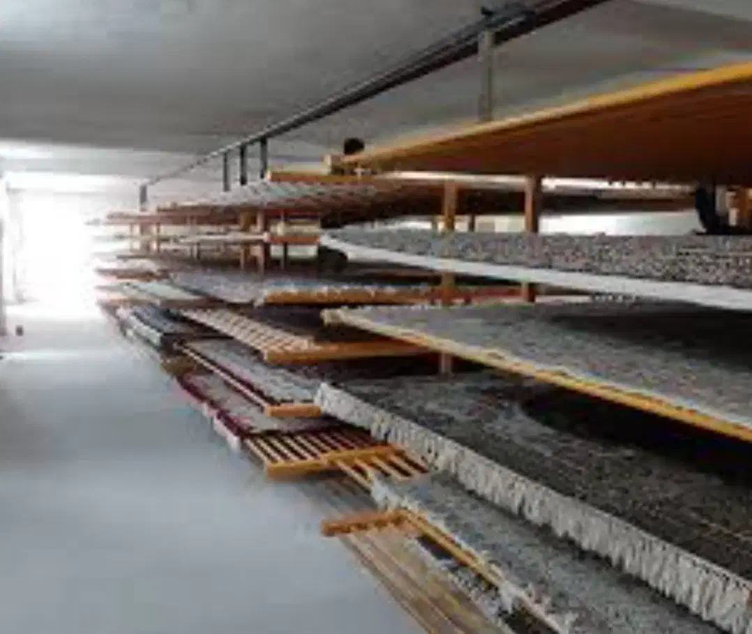 قالیشویی موسیوند قالی شویی تمام اتوماتیک|خدمات نظافت|مشهد, طبرسی شمالی|دیوار