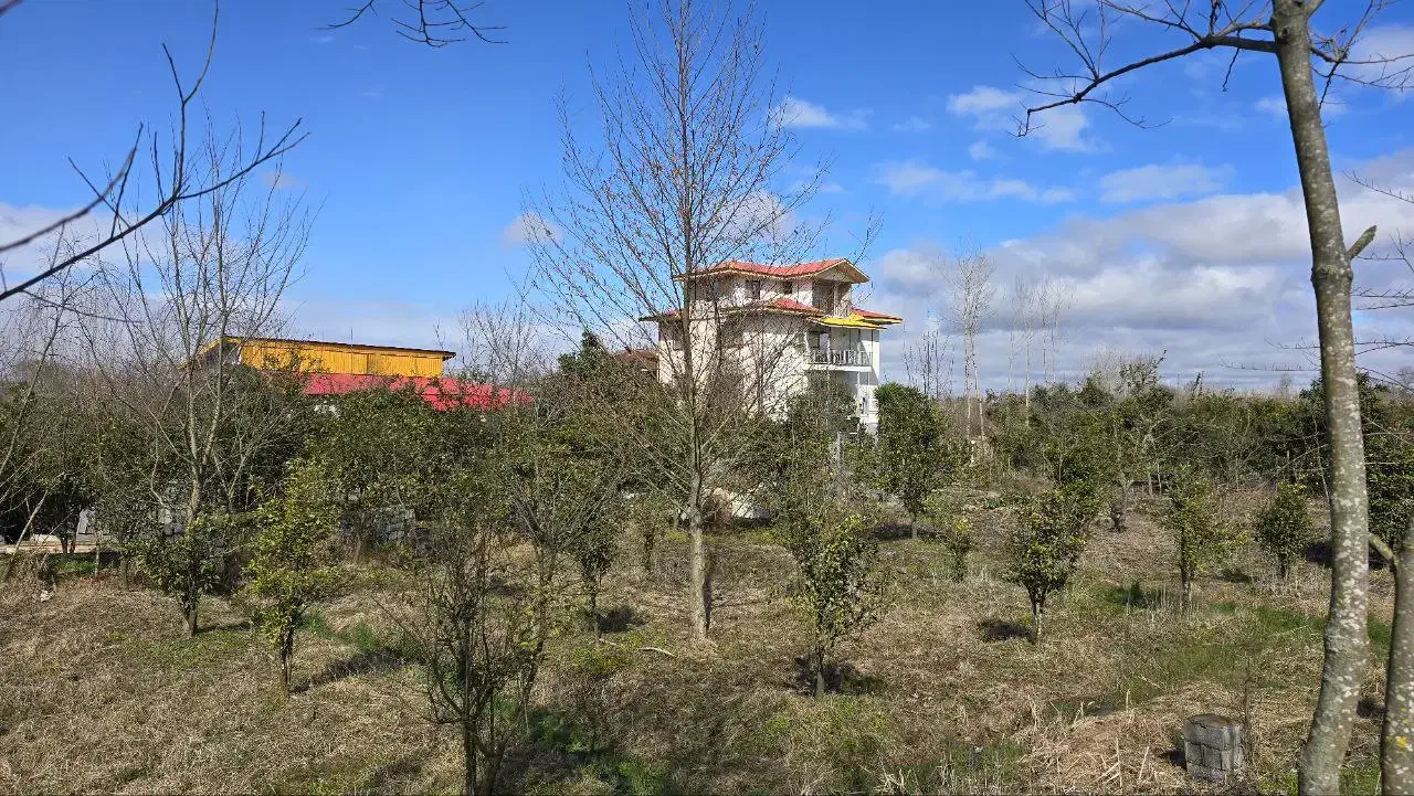 1100 متری تماما مسکونی|فروش زمین و ملک کلنگی|رانکوه, |دیوار