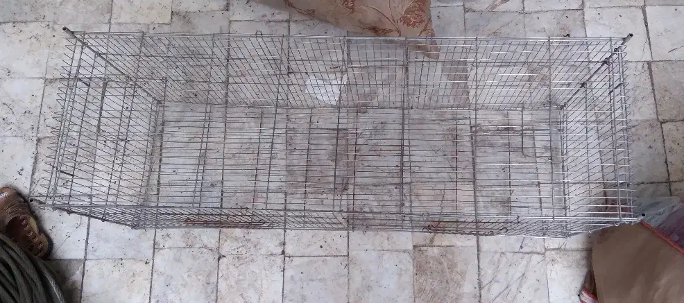 قفس|لوازم جانبی حیوانات|قم, شهرک امام حسن|دیوار