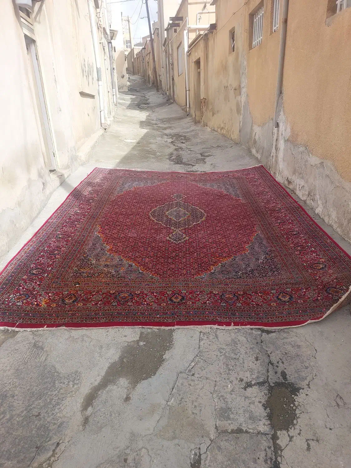 فرش ۱۲ متری نخشین|فرش|سنندج, |دیوار