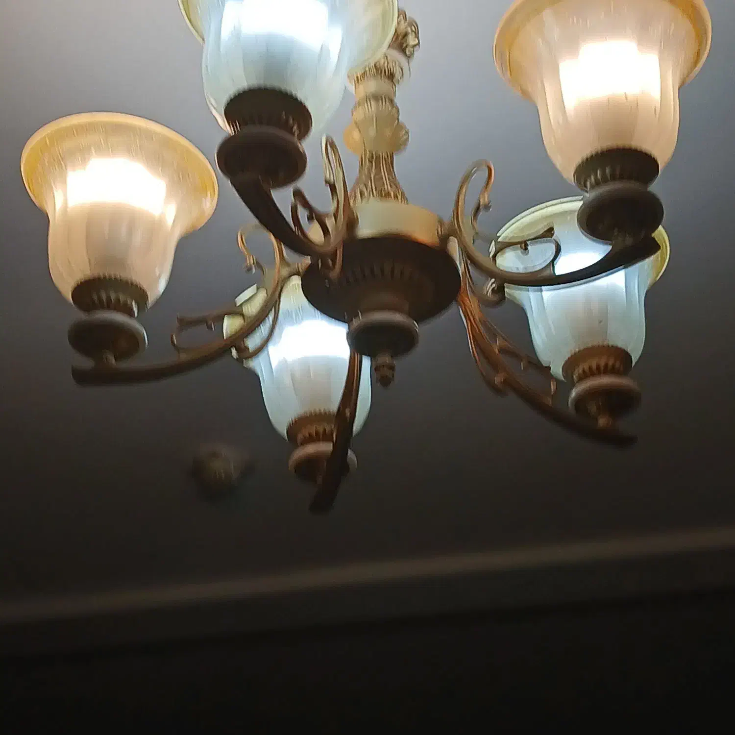 لوستر پنج شاخه|لوستر و چراغ آویز|پردیس, فاز ۱۱|دیوار