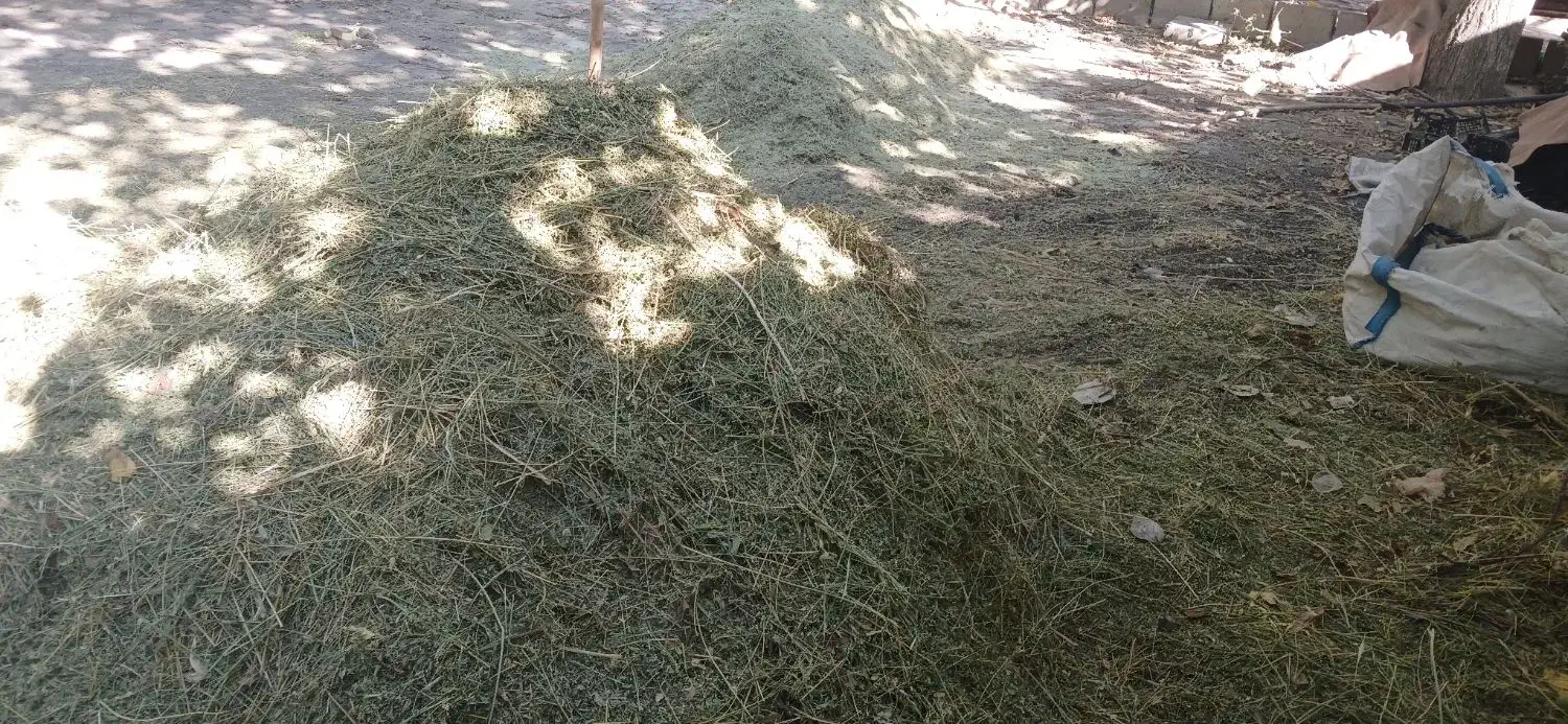 یونجه فروشی|حیوانات مزرعه|زند, |دیوار