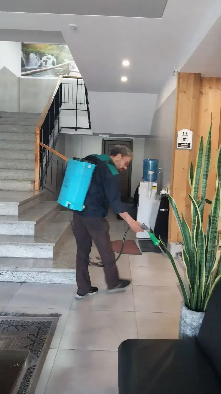 ساس سوسک ....سمپاشی زیر نظر دکترای تخصصی|خدمات نظافت|فردیس, منظریه|دیوار