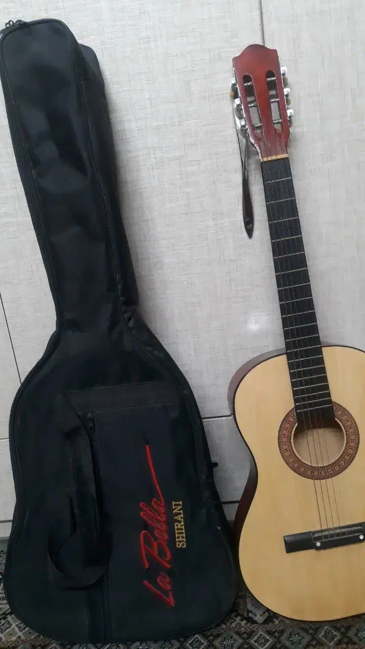 گیتار کم قیمت|گیتار، بیس، امپلیفایر|اصفهان, فردوان|دیوار