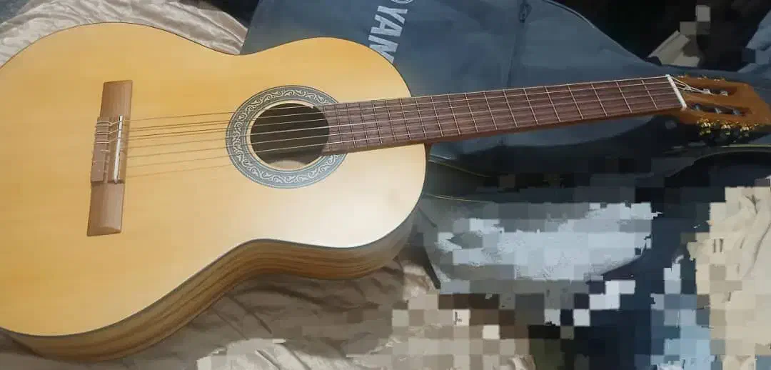 گیتار پارسی p 70|گیتار، بیس، امپلیفایر|شیراز, میانرود|دیوار