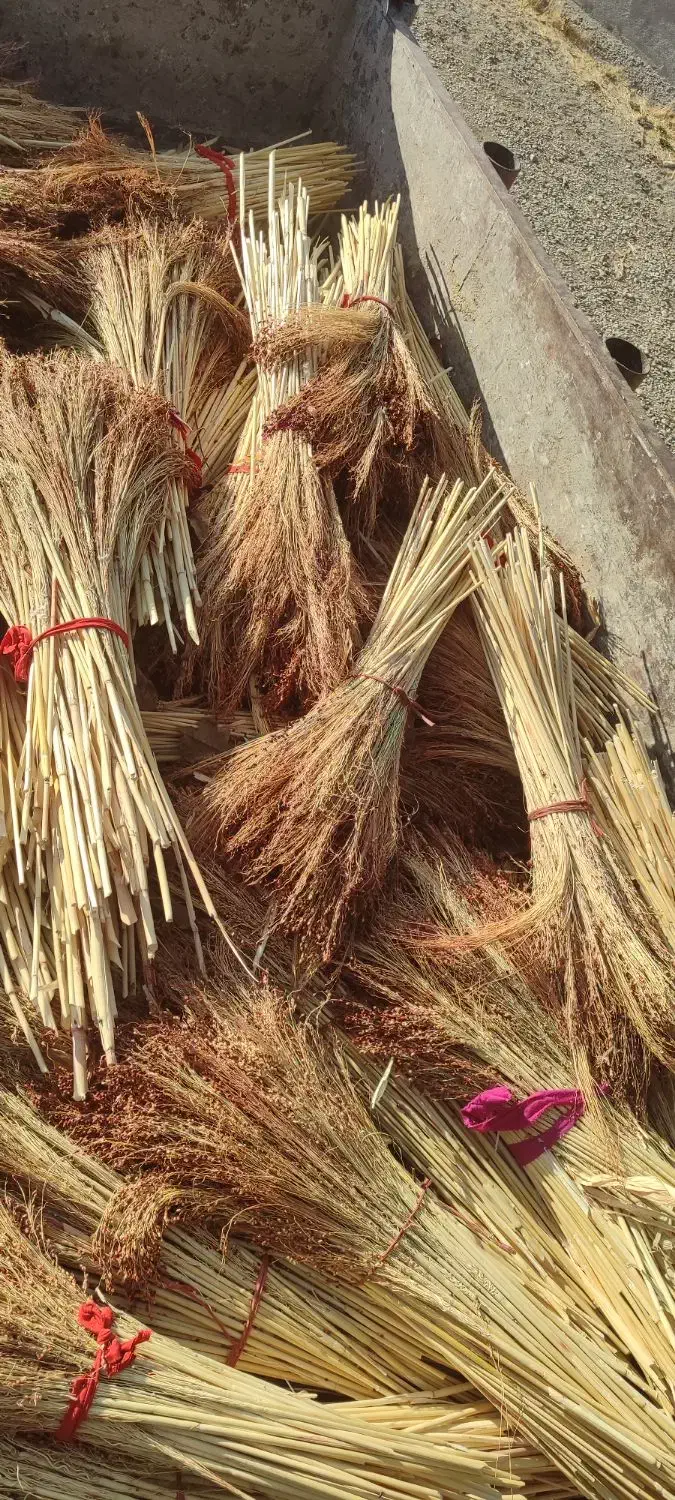 جارو|لوازم نظافت|زاغه, |دیوار