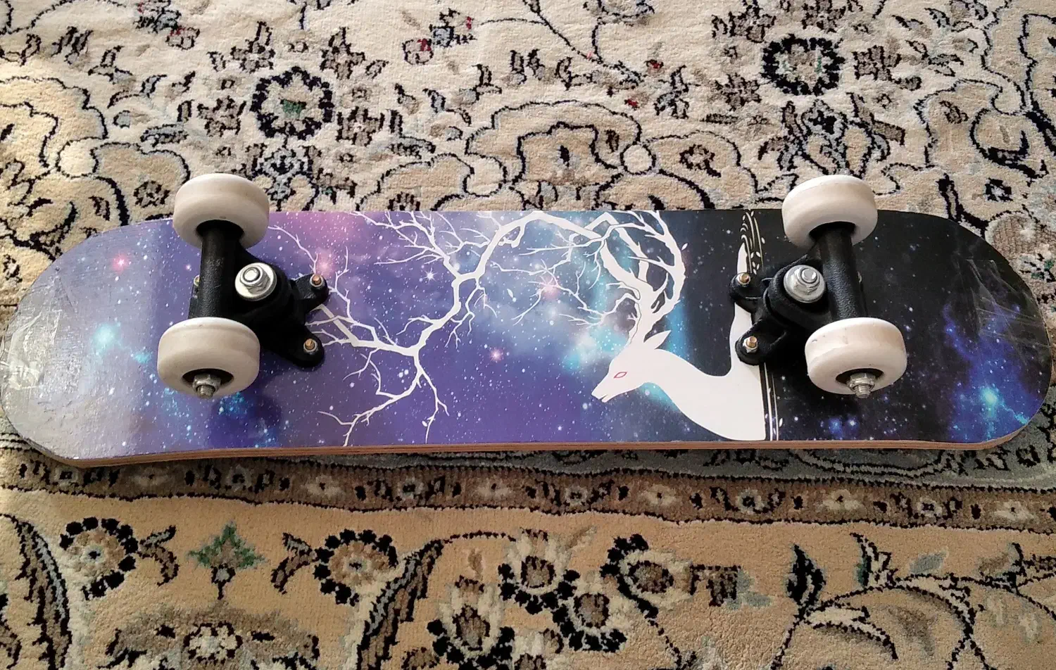 اسکیت برد|دوچرخه، اسکیت، اسکوتر|بردسکن, |دیوار