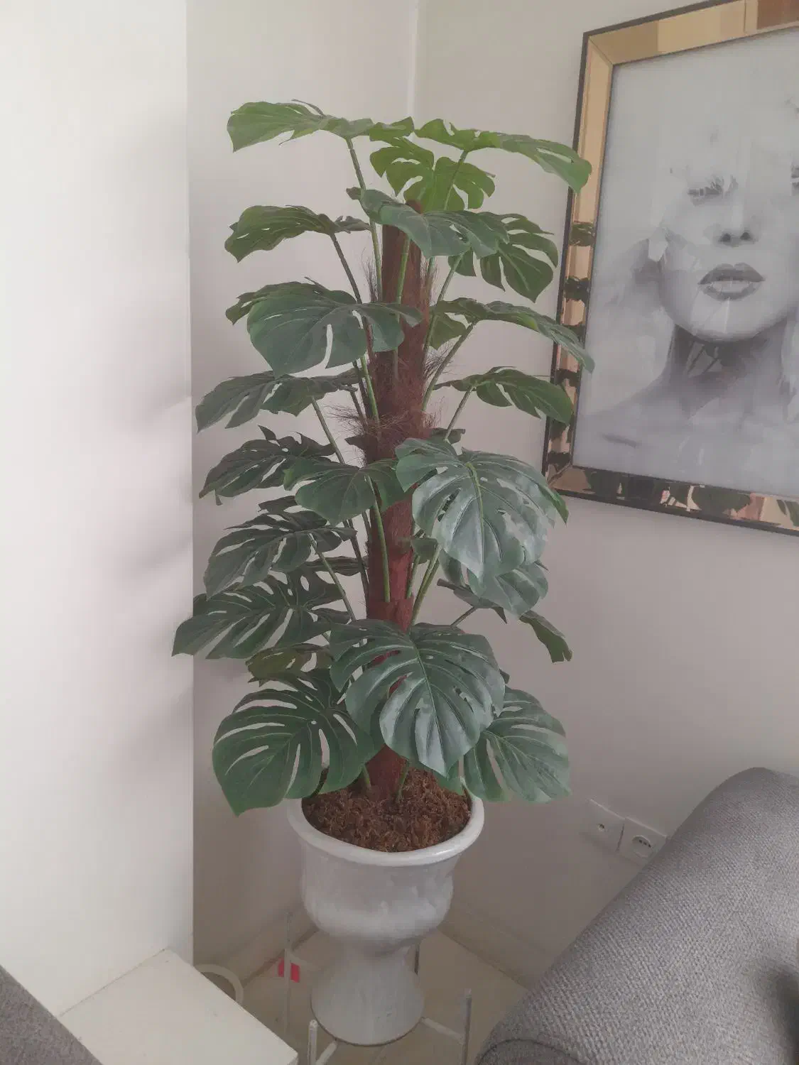 درختچه مصنوعی لمسی بسیار زیبا|گل مصنوعی|تهران, تهرانپارس غربی|دیوار