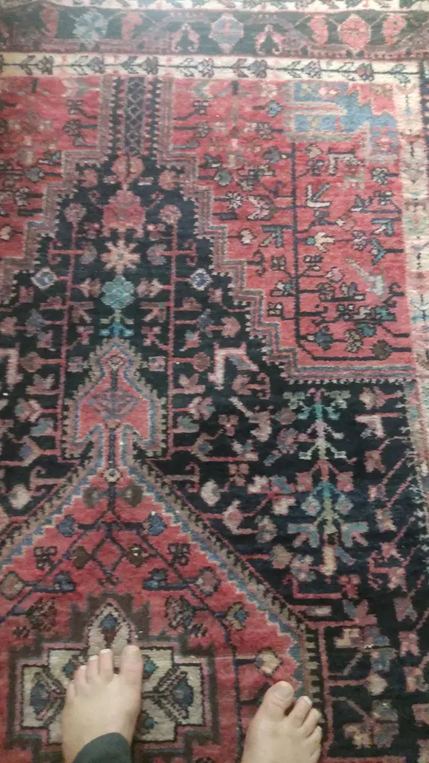 فرش دستبافت|فرش|مشکیندشت, |دیوار