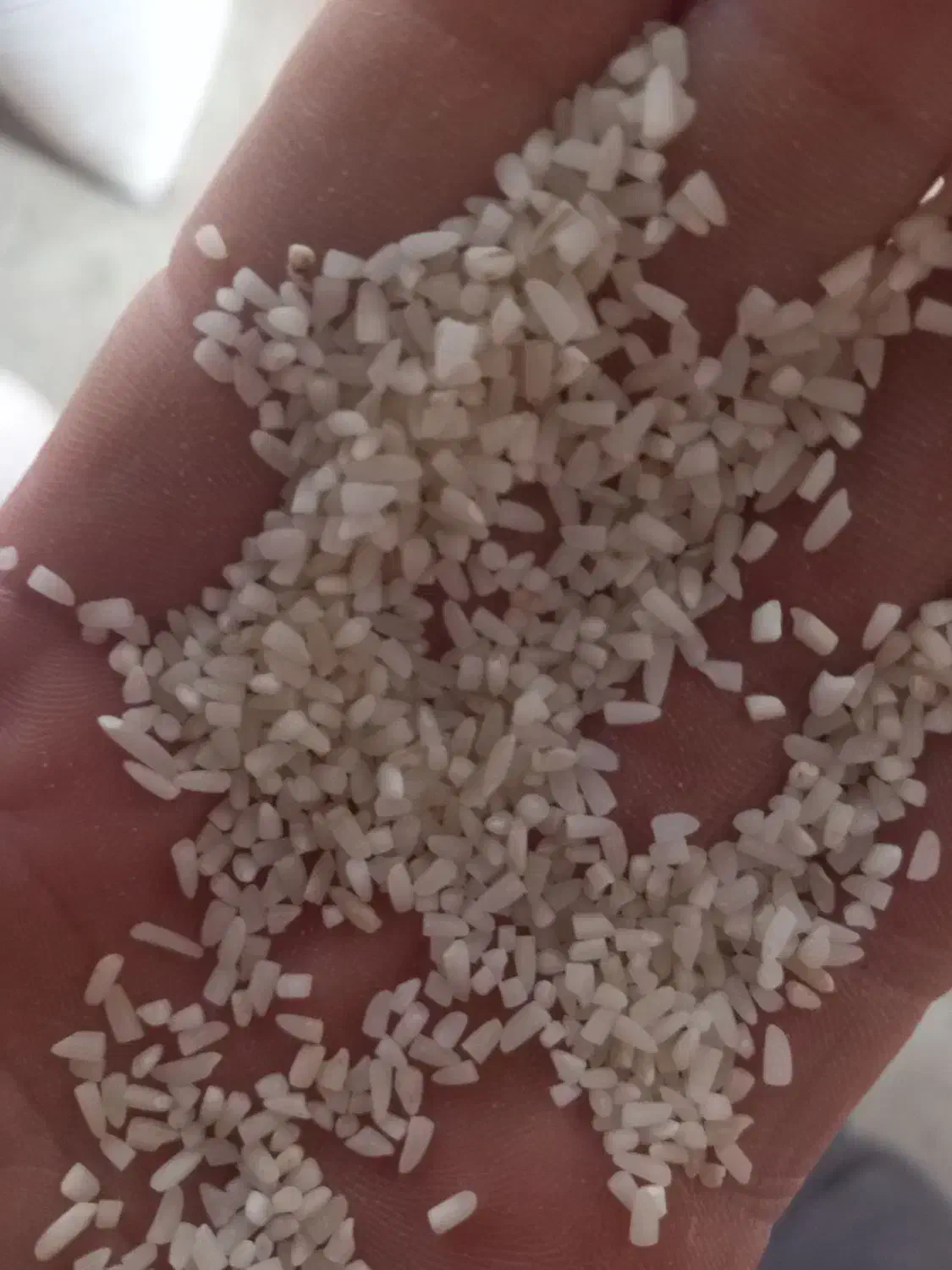 برنجهاشمیونیمدانههاشمی|خوردنی و آشامیدنی|رشت, بلوار گیلان|دیوار