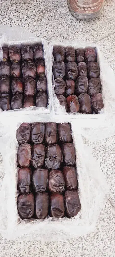 خرما بم|خوردنی و آشامیدنی|قم, قم نو|دیوار