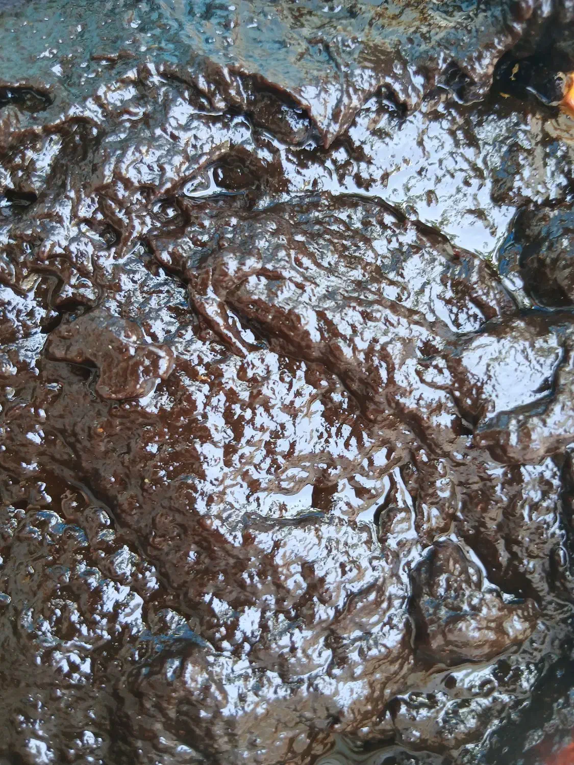 رب انار شیرین طارم|خوردنی و آشامیدنی|چورزق, |دیوار