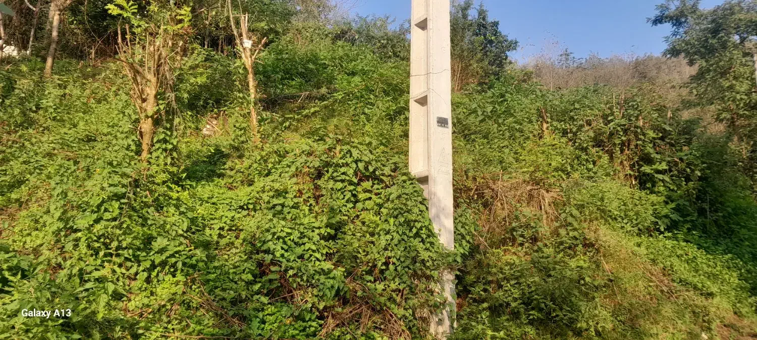 زمین ۱۸۰ متری مسکونی|فروش زمین و ملک کلنگی|اطاقور, |دیوار