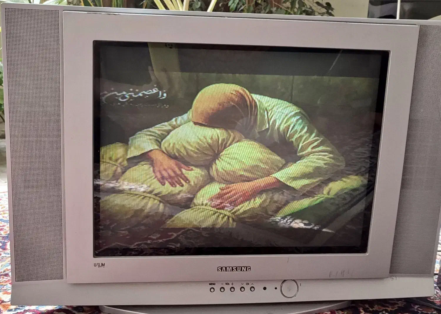 تلویزیون سامسونگ|تلویزیون و پروژکتور|اصفهان, باغ دریاچه|دیوار