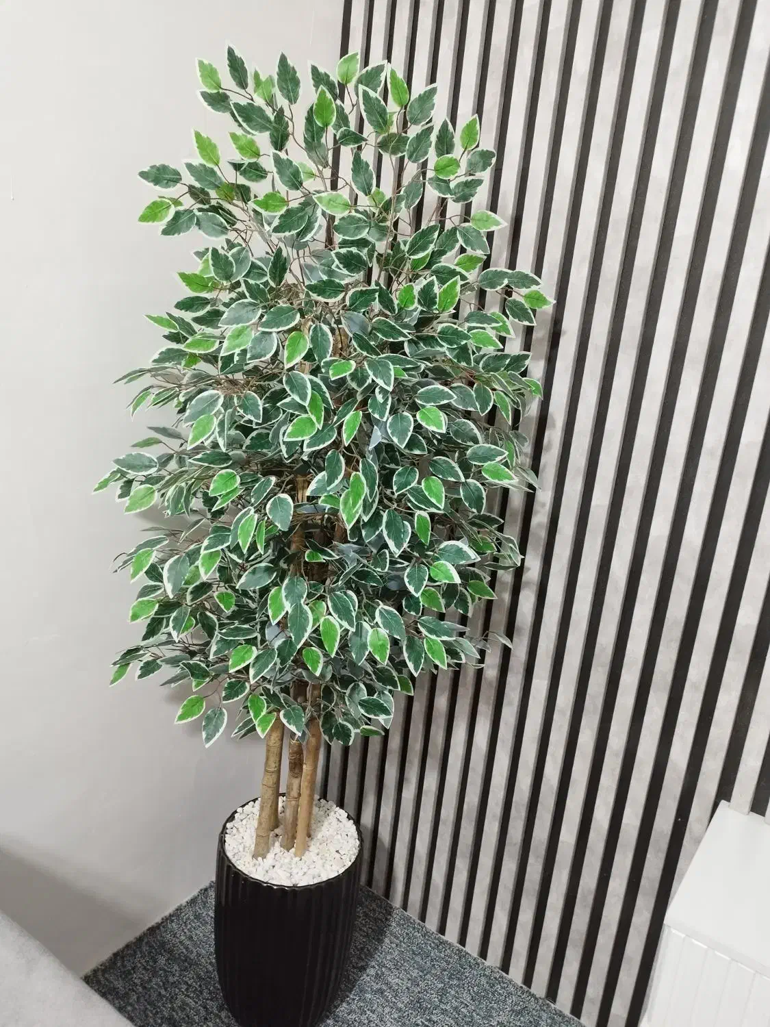 درختچه بنجامین با گلدان بزرگ مدل جدید|گل مصنوعی|اهواز, حصیرآباد|دیوار