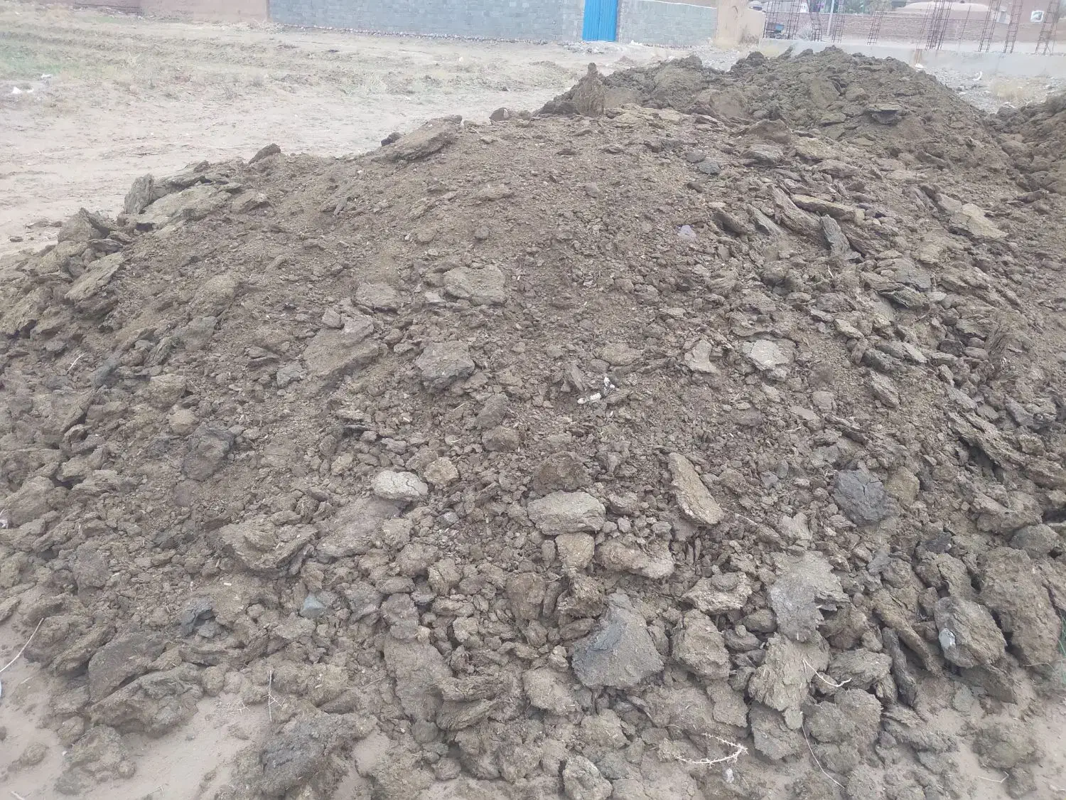 کود گاوی|عمدهفروشی|چترود, |دیوار