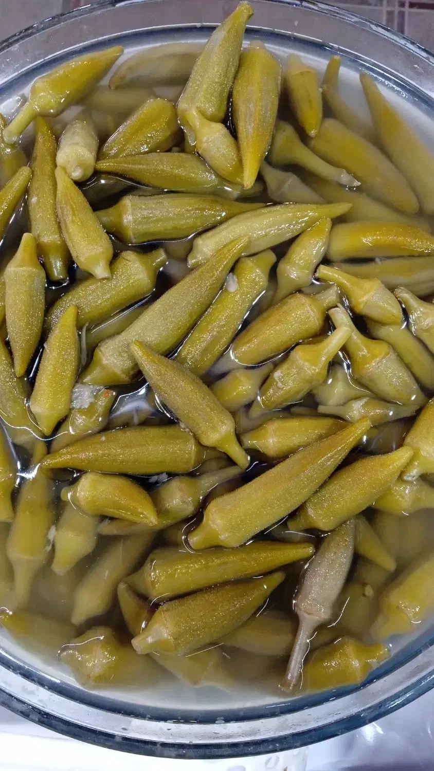ترشی خانگی|خوردنی و آشامیدنی|تربت‌حیدریه, باغ ملی|دیوار