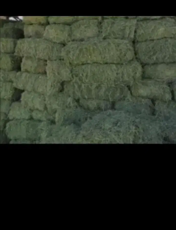 فروش یونجه وکاه درجه یک|لوازم جانبی حیوانات|شیراز, شهرک فرهنگیان|دیوار