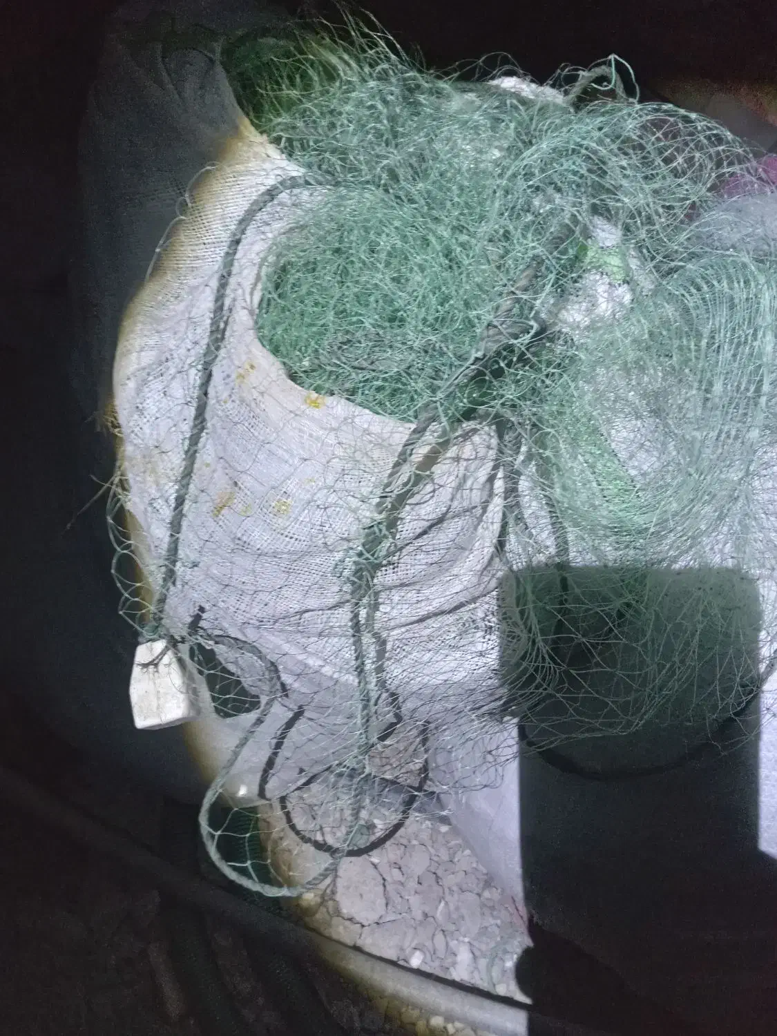 تور ماهی|ماهیگیری|بوشهر, |دیوار