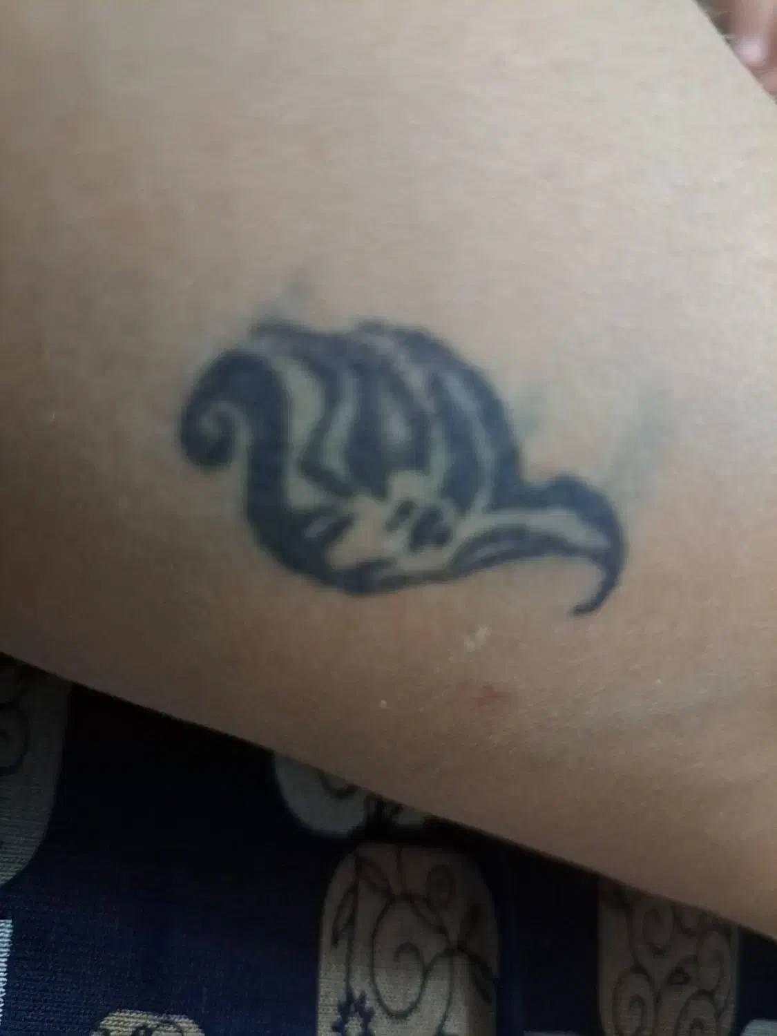 اموزش،تتو|خدمات آرایشگری و زیبایی|لردگان, |دیوار