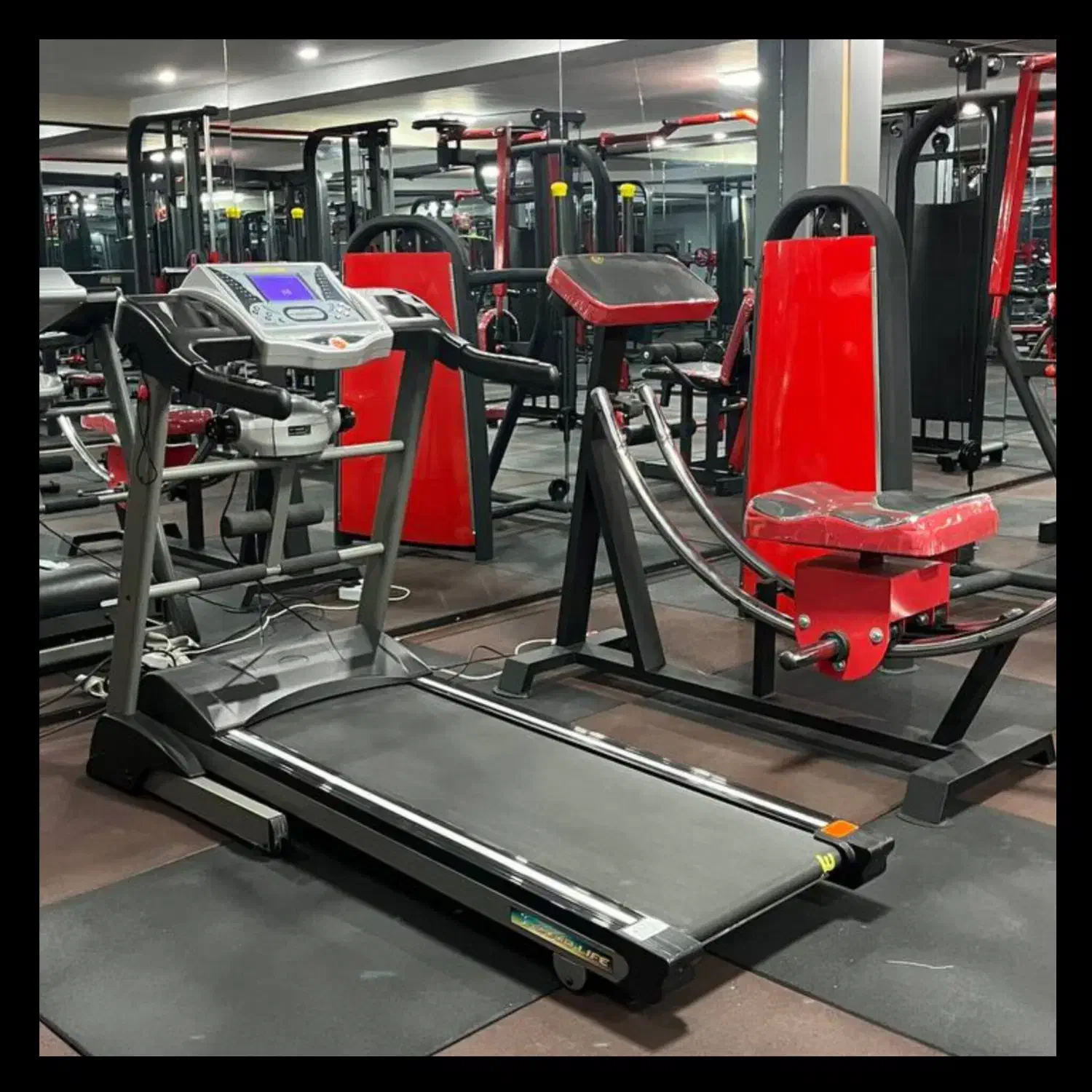 ونک جردن وزرا ولیعصر توانیر میرداماد داکت اسپیلیت|اجارهٔ کوتاهمدت آپارتمان و سوئیت|تهران, آرژانتین|دیوار